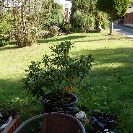 Appartement Waldblick à Arnstadt Extérieur photo