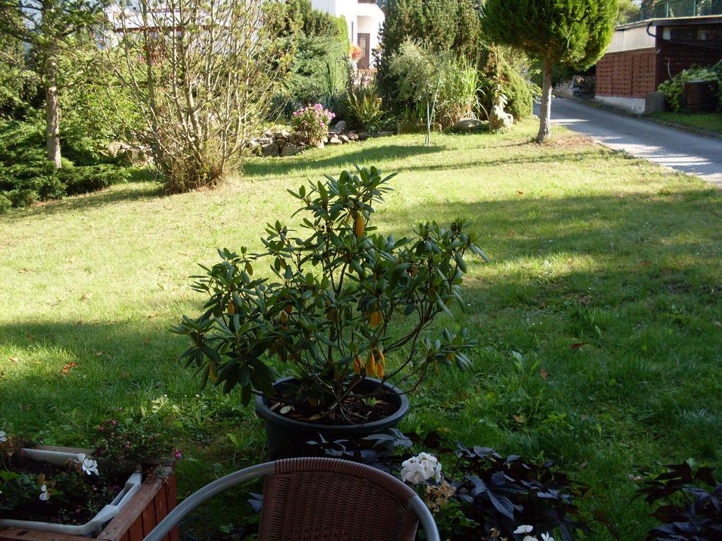 Apartament Waldblick