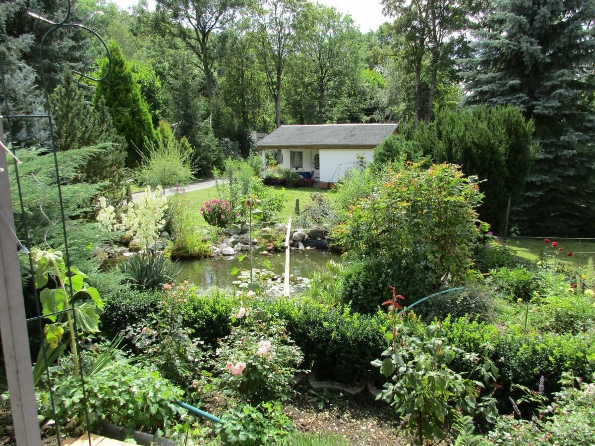 Waldblick Appartement Arnstadt