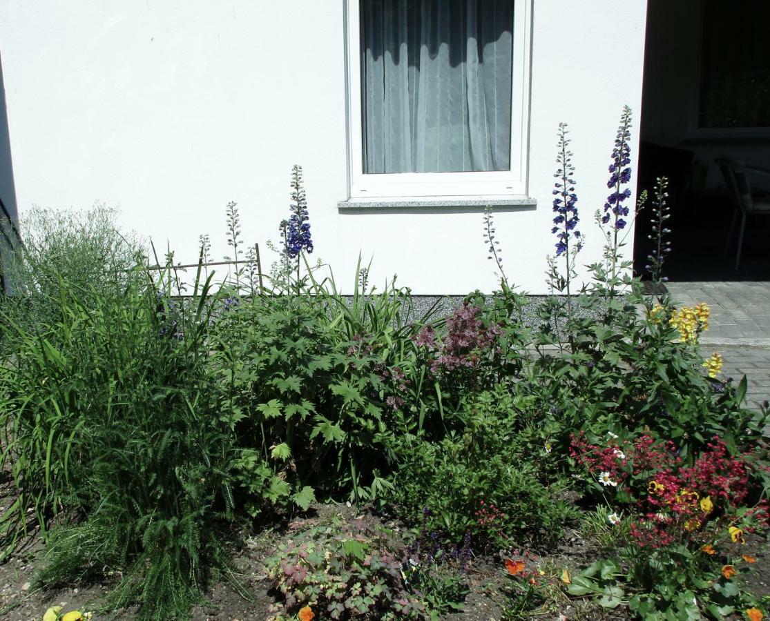 Waldblick *